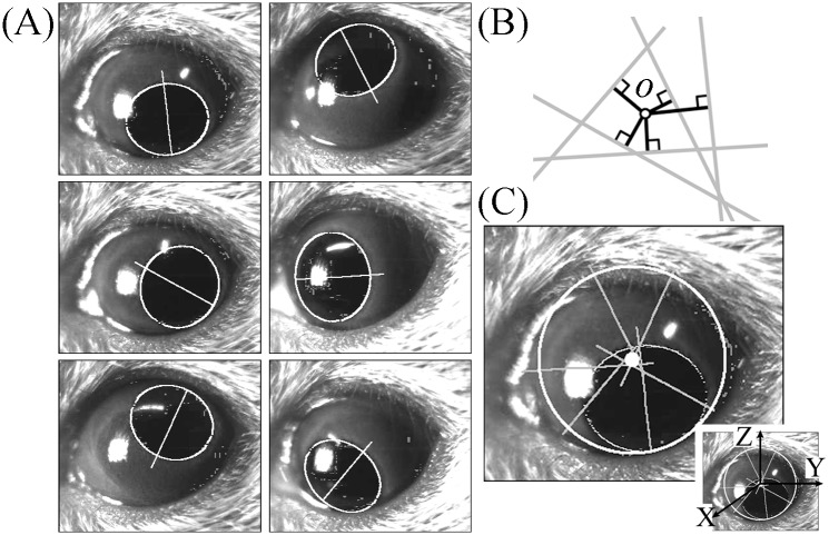 Fig 1