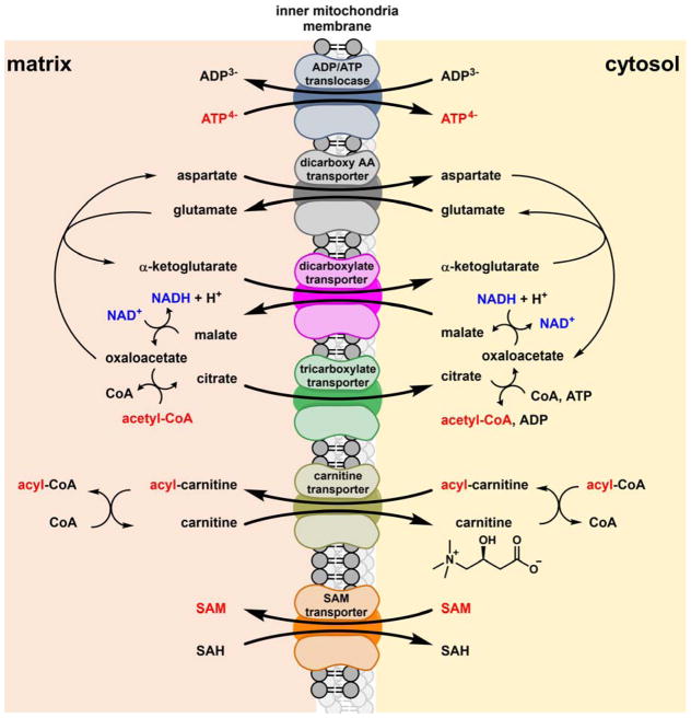 Figure 17