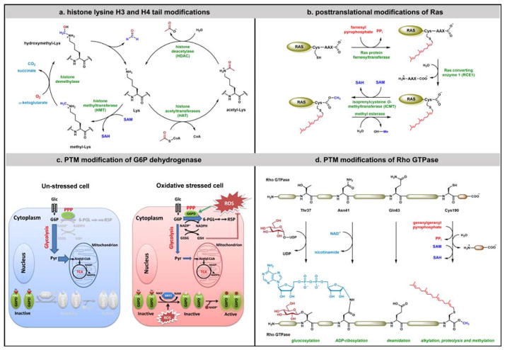 Figure 18