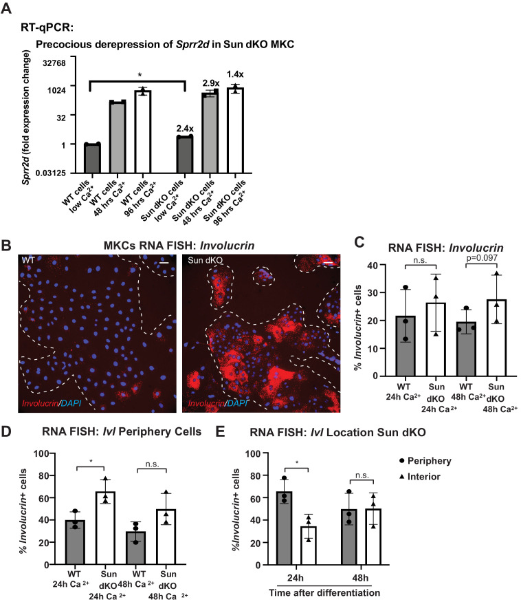 Figure 4—figure supplement 1.