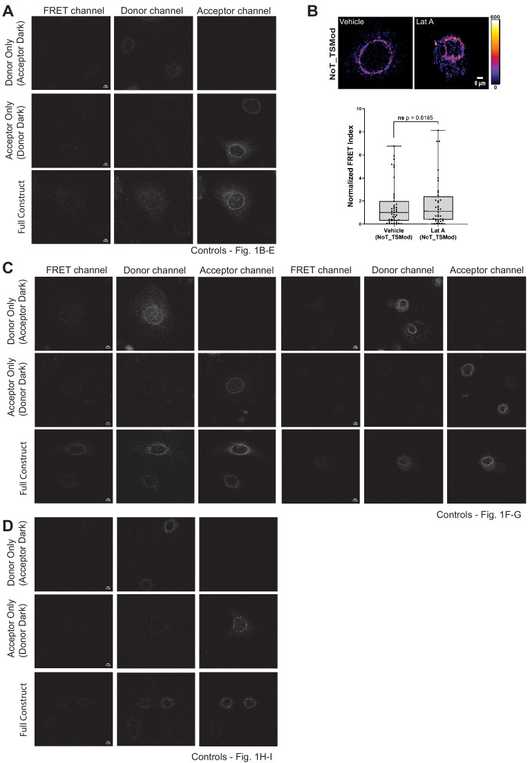 Figure 1—figure supplement 1.