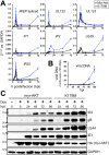 FIG 3