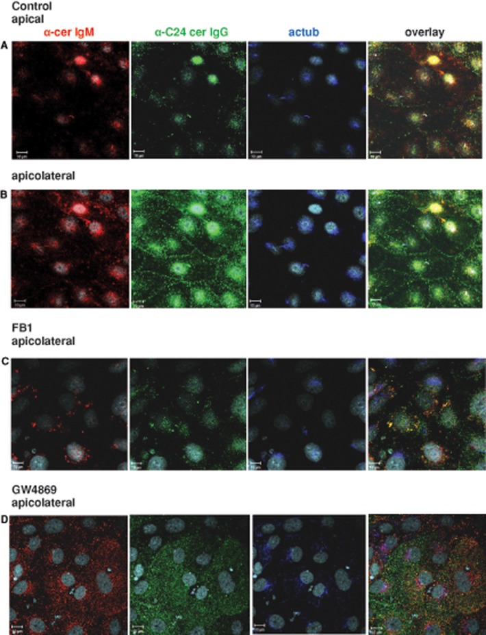 FIGURE 4: