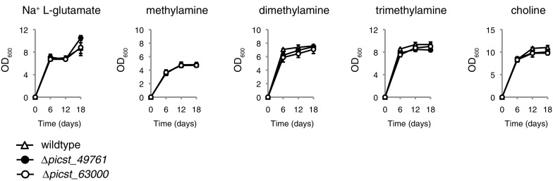 Fig. 4