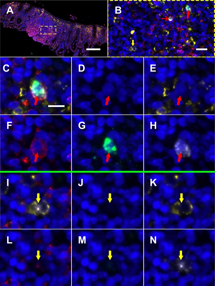 Figure 3.