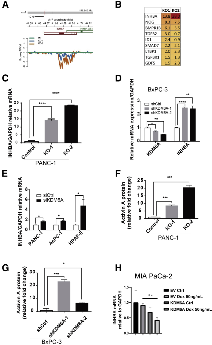 Figure 6