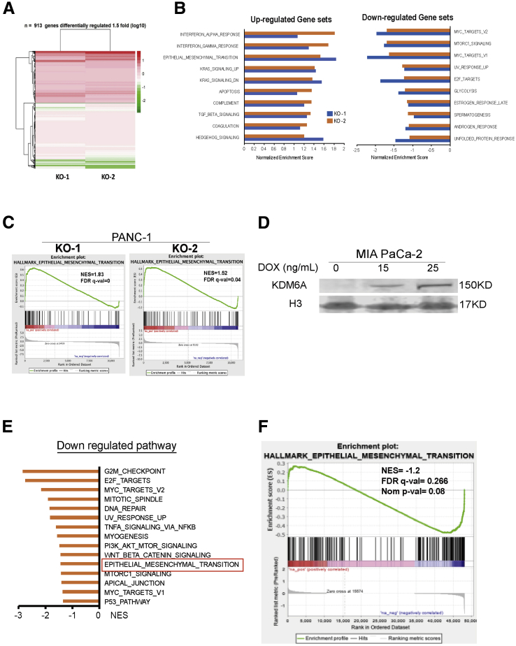 Figure 4