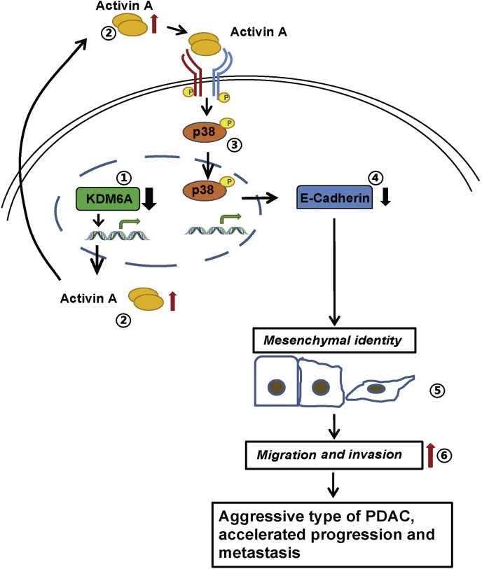 Figure 13