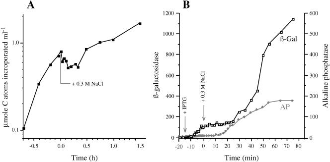 FIG. 5.