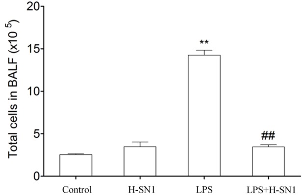 FIGURE 3