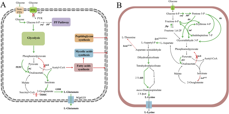 Fig. 3