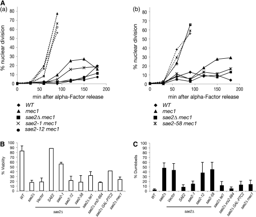 Figure 4.—