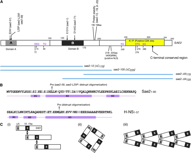 Figure 7.—