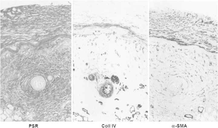 Fig. 6.