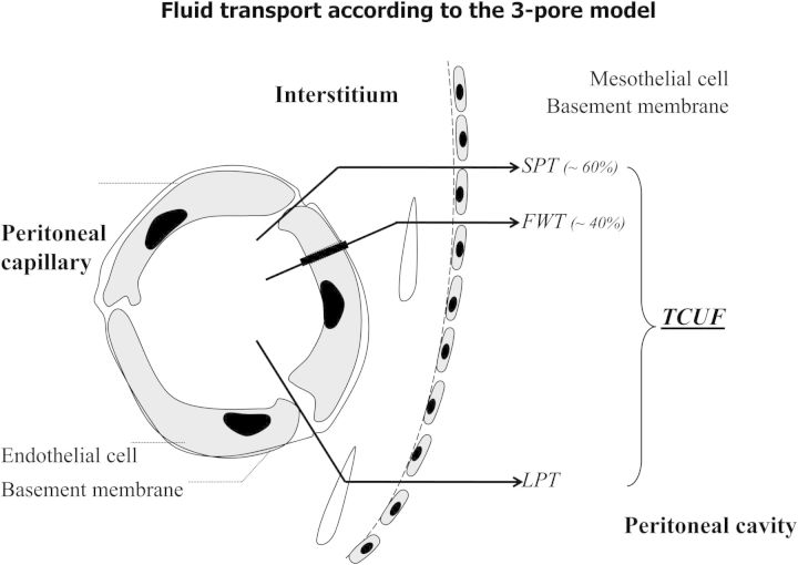 Fig. 2.