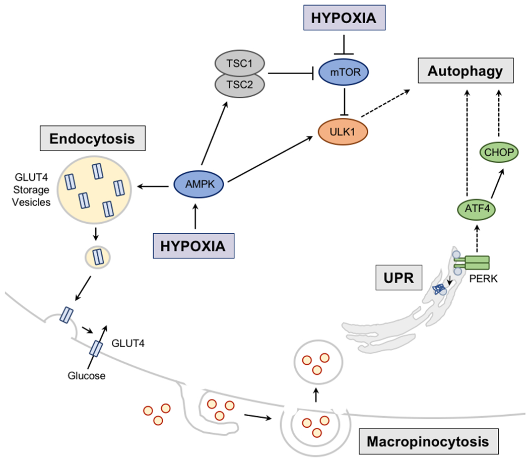 Figure 5: