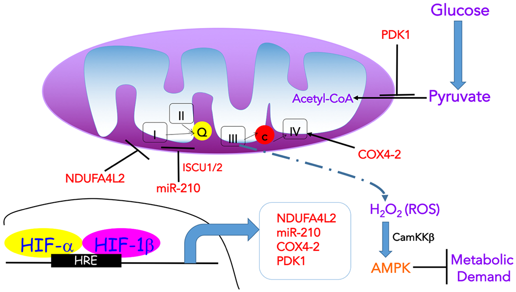 Figure 3: