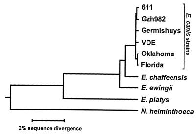 FIG. 1