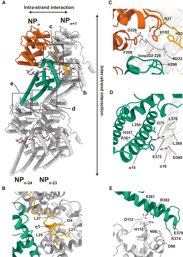 Fig. 3.