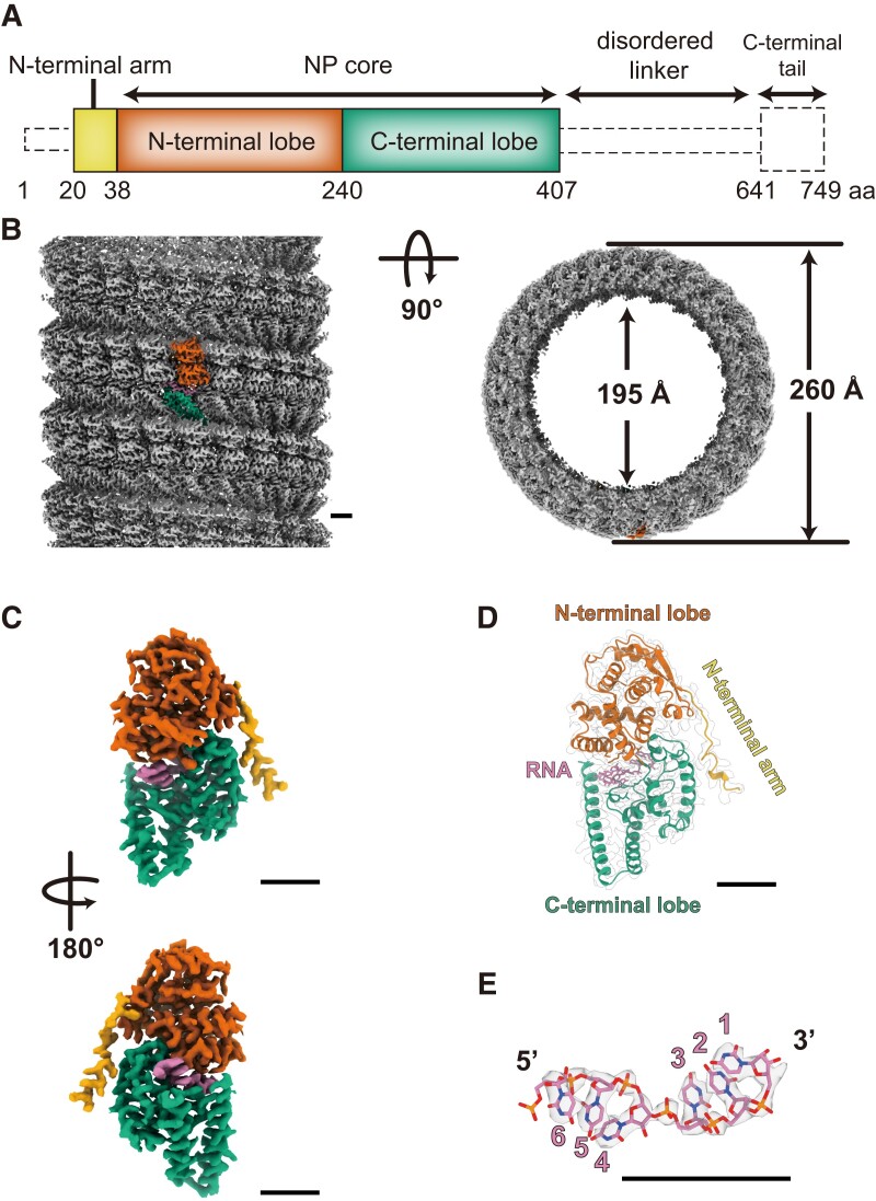 Fig. 1.