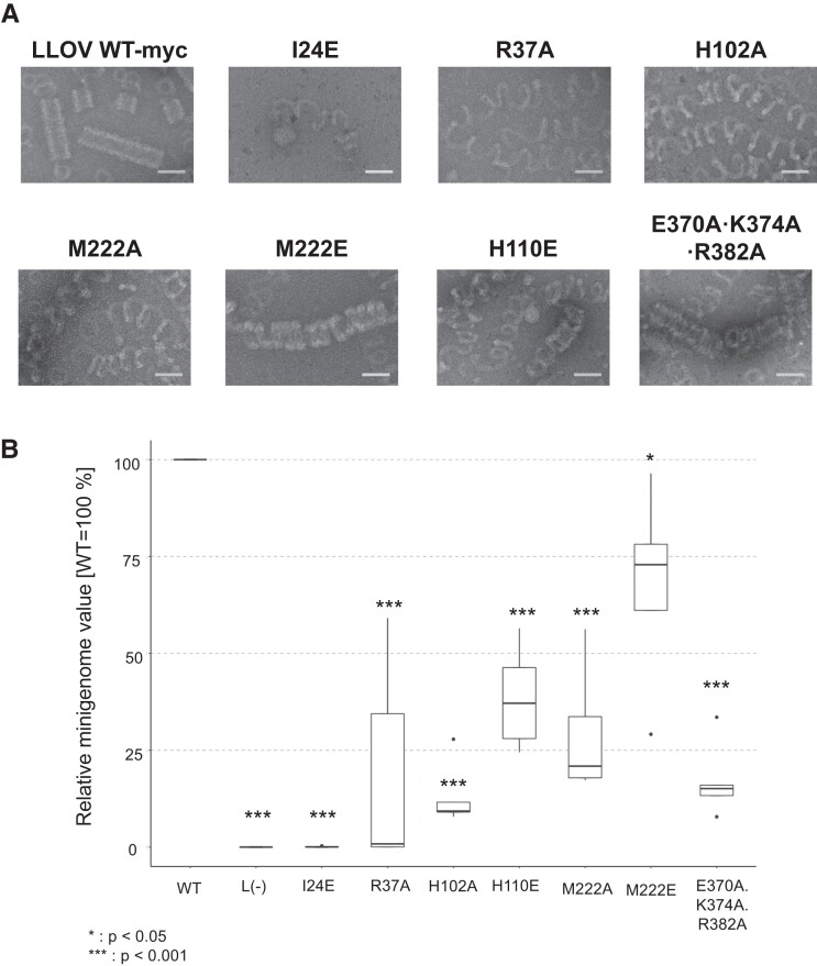 Fig. 4.