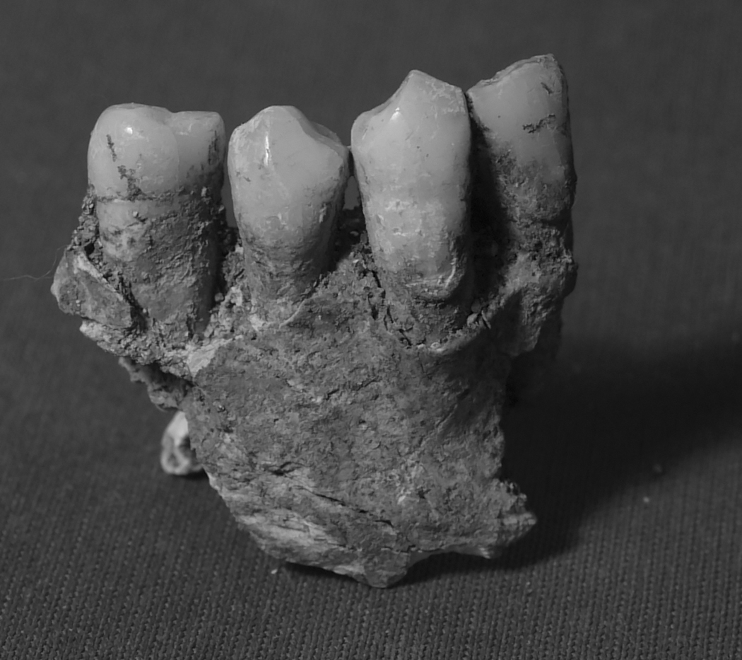 Figure 9a.