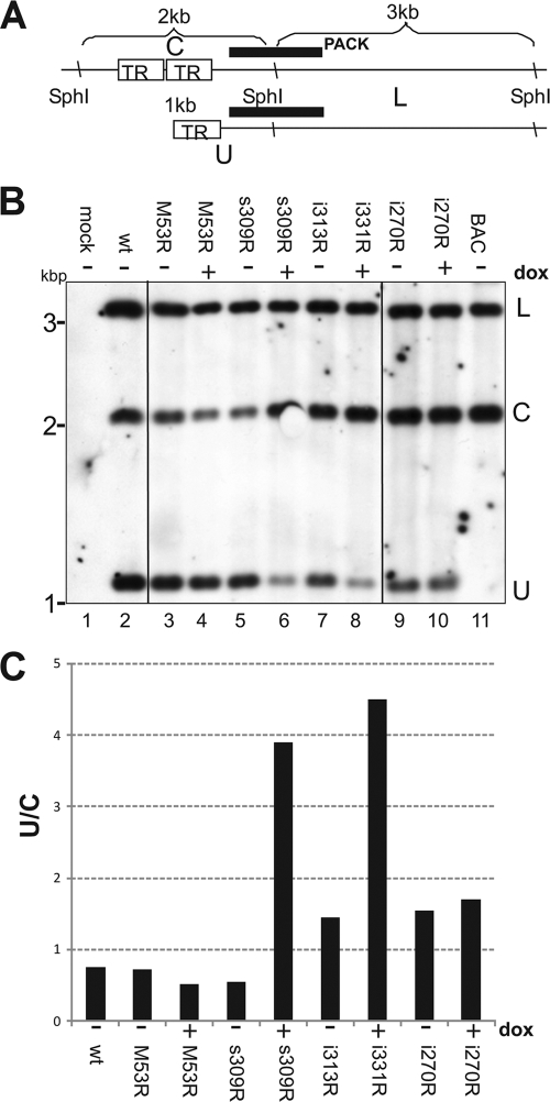 FIG. 7.