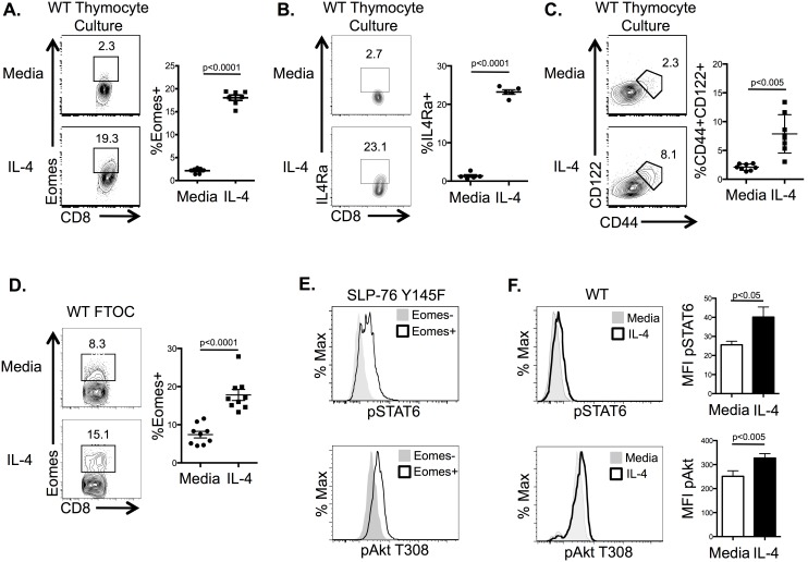 Interleukin-4 Regulates Eomesodermin In Cd8+ T Cell Development And 