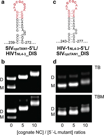 Fig. 9