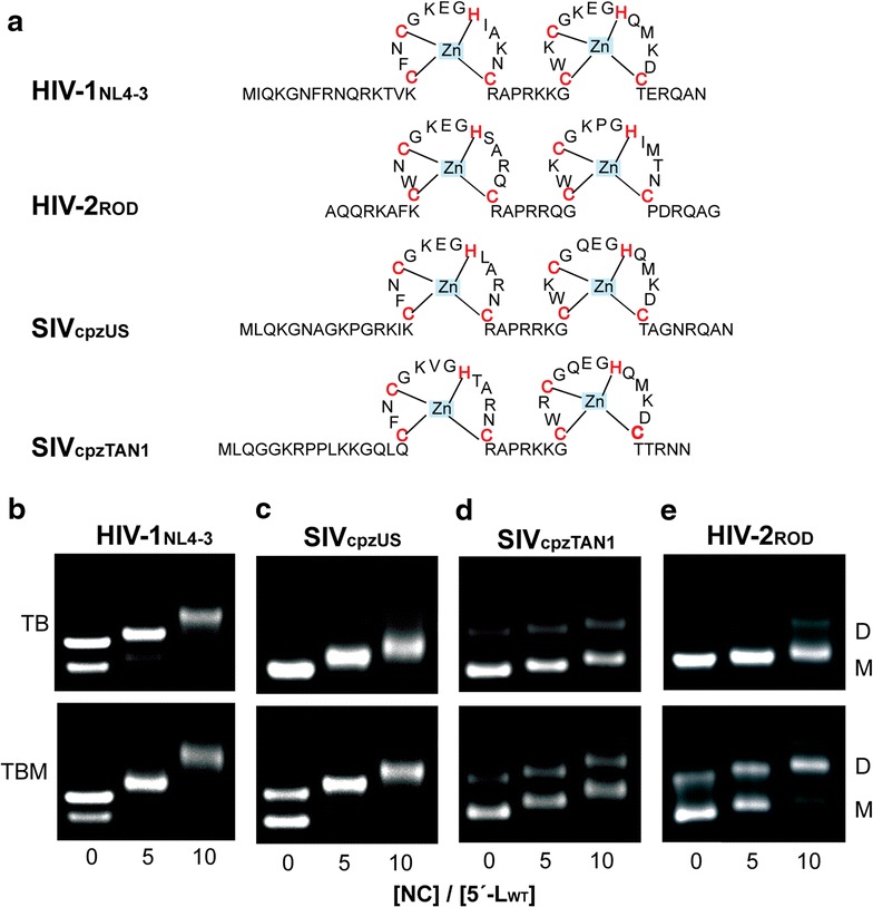 Fig. 7