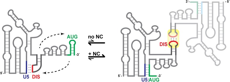 Fig. 10