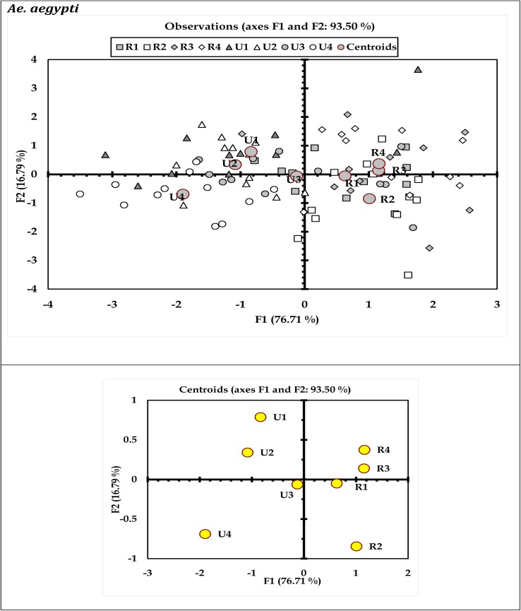 Fig 5