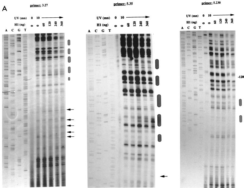 FIG. 5