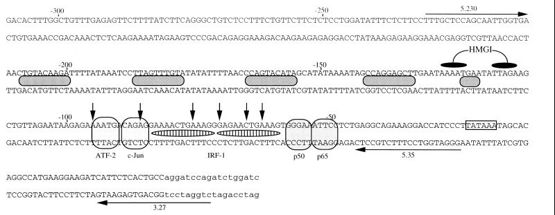 FIG. 6