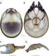 Figure 33.