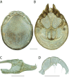 Figure 242.