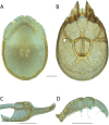 Figure 218.