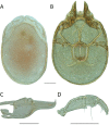 Figure 43.