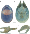 Figure 92.