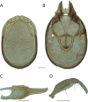Figure 124.