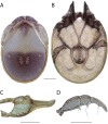 Figure 34.