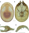 Figure 40.