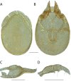 Figure 148.