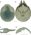 Figure 213.
