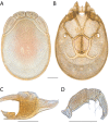 Figure 185.