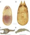 Figure 68.