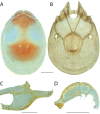 Figure 51.