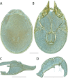 Figure 169.