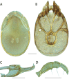 Figure 219.