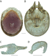 Figure 221.